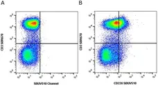 Anti Human CD3 Antibody, clone UCHT1 gallery image 382