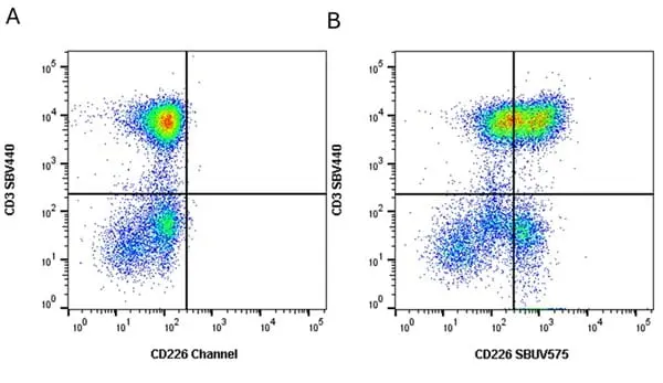 Anti Human CD3 Antibody, clone UCHT1 gallery image 384
