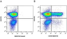 Anti Human CD3 Antibody, clone UCHT1 gallery image 387