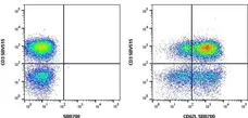 Anti Human CD3 Antibody, clone UCHT1 gallery image 39