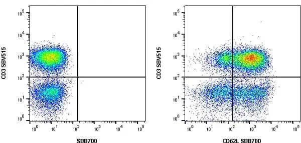 Anti Human CD3 Antibody, clone UCHT1 gallery image 39