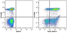 Anti Human CD3 Antibody, clone UCHT1 gallery image 40