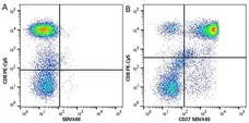 Anti Human CD3 Antibody, clone UCHT1 gallery image 47