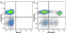 Anti Human CD3 Antibody, clone UCHT1 gallery image 48