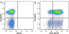 Anti Human CD3 Antibody, clone UCHT1 gallery image 50