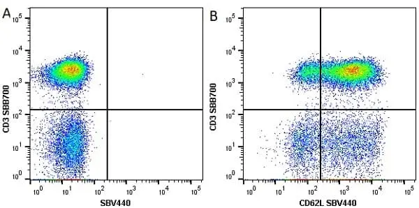 Anti Human CD3 Antibody, clone UCHT1 gallery image 50