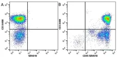 Anti Human CD3 Antibody, clone UCHT1 gallery image 56