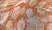 Anti Human CD3 Antibody, clone UCHT1 thumbnail image 6