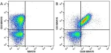 Anti Human CD3 Antibody, clone UCHT1 gallery image 63