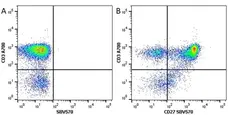 Anti Human CD3 Antibody, clone UCHT1 gallery image 64