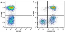 Anti Human CD3 Antibody, clone UCHT1 gallery image 67