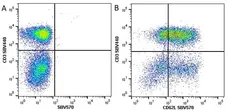Anti Human CD3 Antibody, clone UCHT1 gallery image 69
