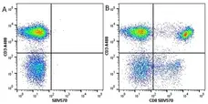Anti Human CD3 Antibody, clone UCHT1 gallery image 72