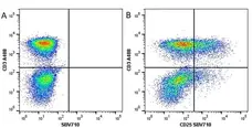 Anti Human CD3 Antibody, clone UCHT1 gallery image 74