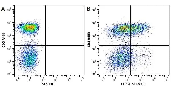 Anti Human CD3 Antibody, clone UCHT1 gallery image 80