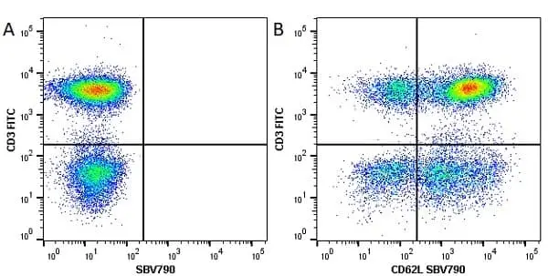 Anti Human CD3 Antibody, clone UCHT1 gallery image 88