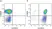 Anti Human CD3 Antibody, clone UCHT1 thumbnail image 91