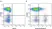 Anti Human CD3 Antibody, clone UCHT1 thumbnail image 92