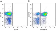 Anti Human CD3 Antibody, clone UCHT1 gallery image 93