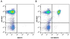 Anti Human CD3 Antibody, clone UCHT1 gallery image 95