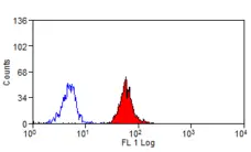 Anti Human CD300a Antibody, clone P192 gallery image 1