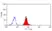 Anti Human CD300a Antibody, clone P192 thumbnail image 1