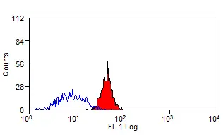 Anti Human CD300a Antibody, clone P192 gallery image 2