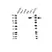 Anti CD31 Antibody, clone 2F7B2 (PrecisionAb Monoclonal Antibody) thumbnail image 1