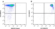 Anti Human CD31 Antibody, clone rWM59 gallery image 1