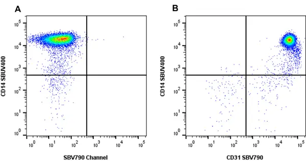 Anti Human CD31 Antibody, clone rWM59 gallery image 4