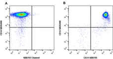 Anti Human CD31 Antibody, clone rWM59 gallery image 6