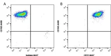 Anti Human CD31 Antibody, clone WM59 gallery image 1