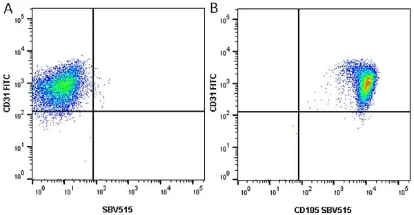 Anti Human CD31 Antibody, clone WM59 gallery image 12