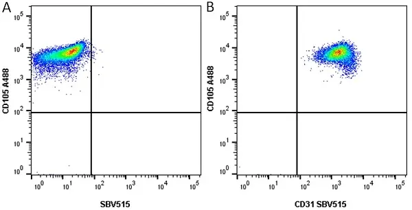 Anti Human CD31 Antibody, clone WM59 gallery image 13