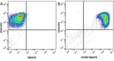 Anti Human CD31 Antibody, clone WM59 gallery image 14