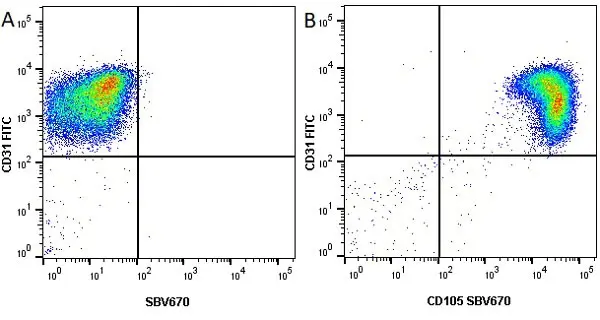 Anti Human CD31 Antibody, clone WM59 gallery image 14