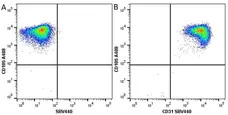 Anti Human CD31 Antibody, clone WM59 gallery image 17