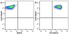 Anti Human CD31 Antibody, clone WM59 gallery image 19