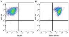 Anti Human CD31 Antibody, clone WM59 gallery image 23