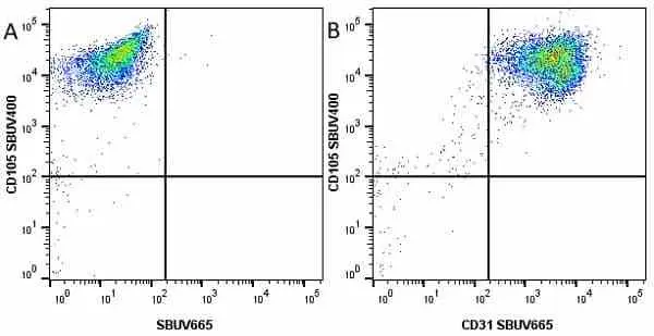 Anti Human CD31 Antibody, clone WM59 gallery image 29