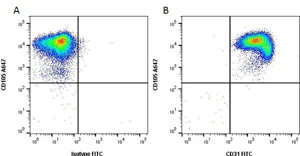 Anti Human CD31 Antibody, clone WM59 gallery image 3