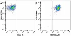 Anti Human CD31 Antibody, clone WM59 gallery image 31