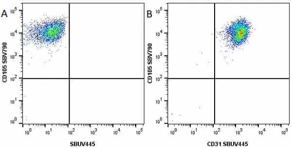Anti Human CD31 Antibody, clone WM59 gallery image 31