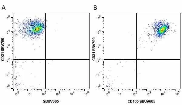 Anti Human CD31 Antibody, clone WM59 gallery image 39