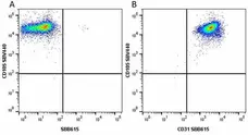 Anti Human CD31 Antibody, clone WM59 gallery image 40