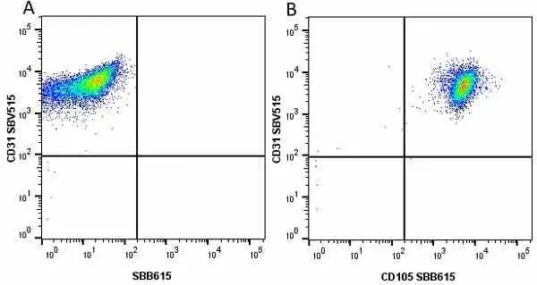 Anti Human CD31 Antibody, clone WM59 gallery image 41