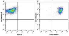 Anti Human CD31 Antibody, clone WM59 gallery image 43