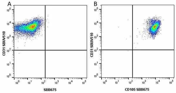 Anti Human CD31 Antibody, clone WM59 gallery image 43