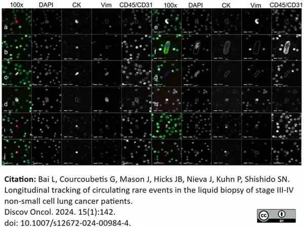 Anti Human CD31 Antibody, clone WM59 gallery image 47