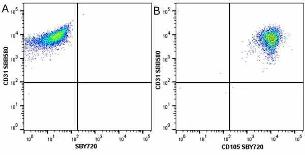 Anti Human CD31 Antibody, clone WM59 gallery image 53